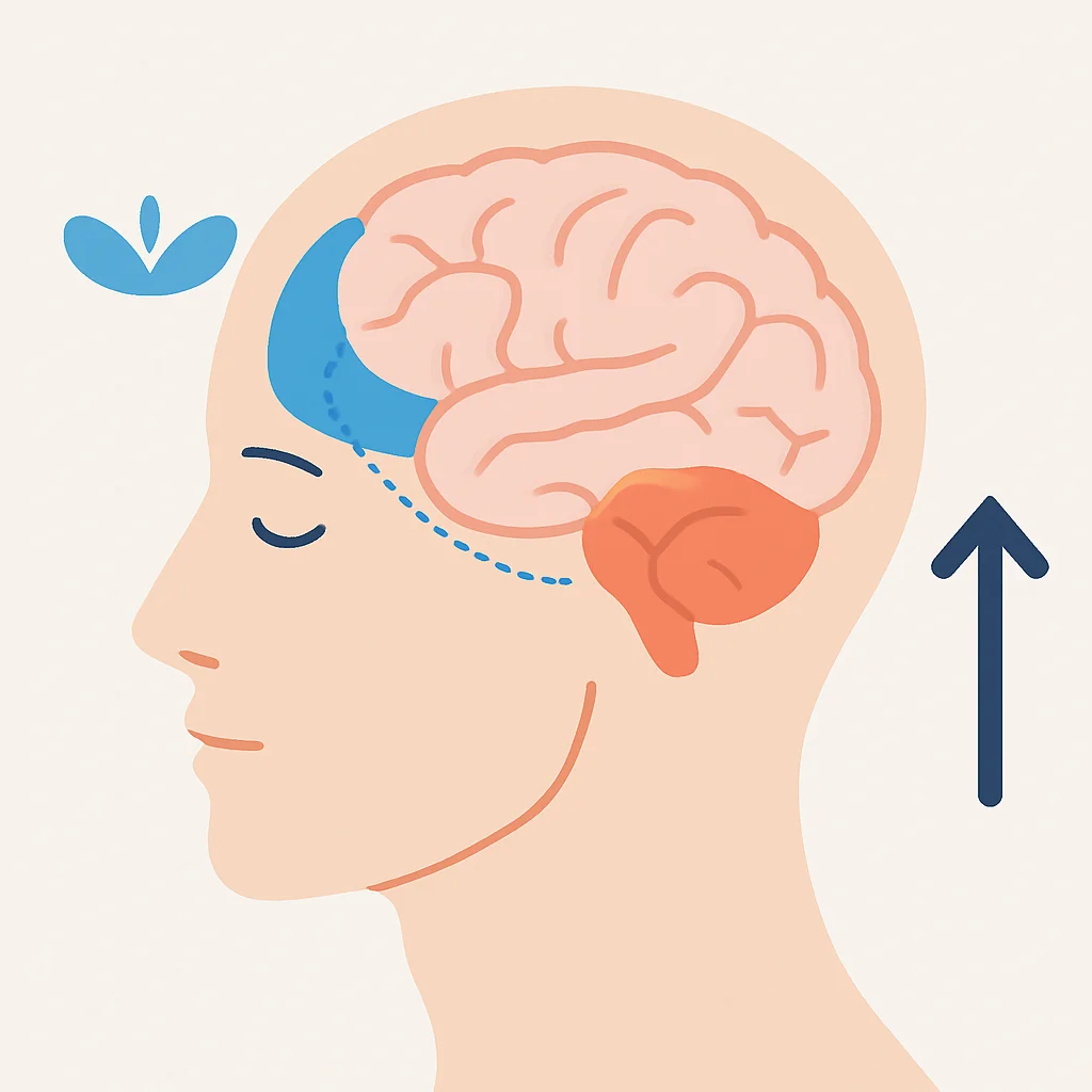 Brain scan showing positive effects of mindfulness on focus and stress